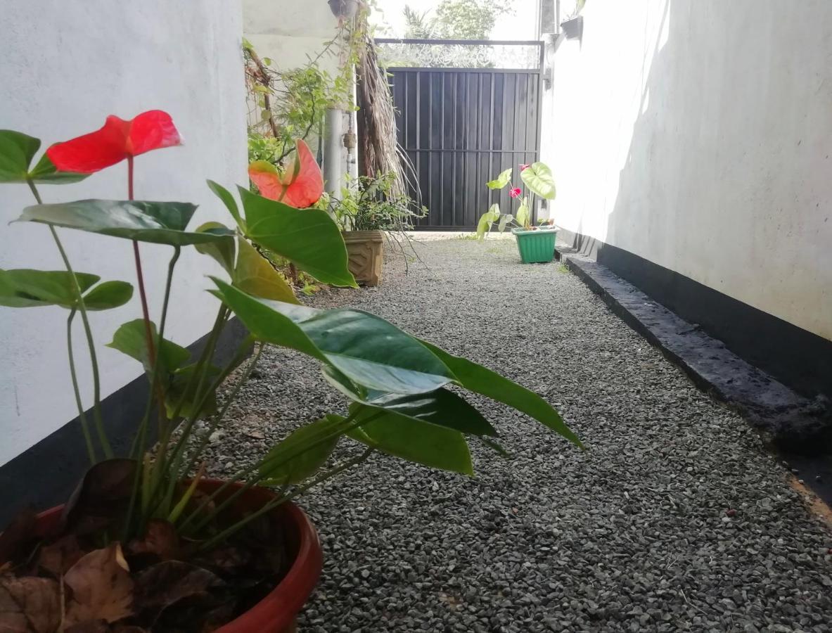 New Coral Garden Weligama Ξενοδοχείο Εξωτερικό φωτογραφία